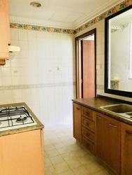 Seasons Park (D26), Condominium #154474652